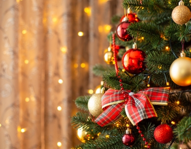 Karácsonyi Tündérálom Noszvajon a Tündérkertben! Karácsonyi Tündérálom Noszvajon a Tündérkertben!